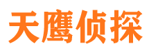 铁锋市侦探调查公司